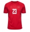 Danmark Pierre-Emile Hojbjerg #23 Replika Hjemmedrakt VM 2022 Kortermet