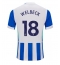 Brighton Danny Welbeck #18 Replika Hjemmedrakt 2025-26 Kortermet
