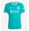 Liverpool Alexander Isak #9 Replika Tredjedrakt 2025-26 Kortermet