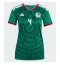 Mexico Edson Alvarez #4 Replika Hjemmedrakt Dame VM 2026 Kortermet