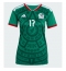 Mexico Orbelin Pineda #17 Replika Hjemmedrakt Dame VM 2026 Kortermet Mexico Orbelin Pineda #17 Replika Hjemmedrakt Dame VM 2026 Kortermet