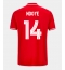 Nottingham Forest Dan Ndoye #14 Replika Hjemmedrakt 2025-26 Kortermet