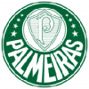 Palmeiras Dameklær