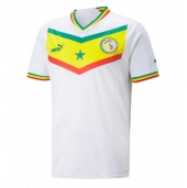 Senegal Replika Hjemmedrakt VM 2022 Kortermet