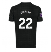 Tottenham Hotspur Brennan Johnson #22 Replika Bortedrakt 2025-26 Kortermet